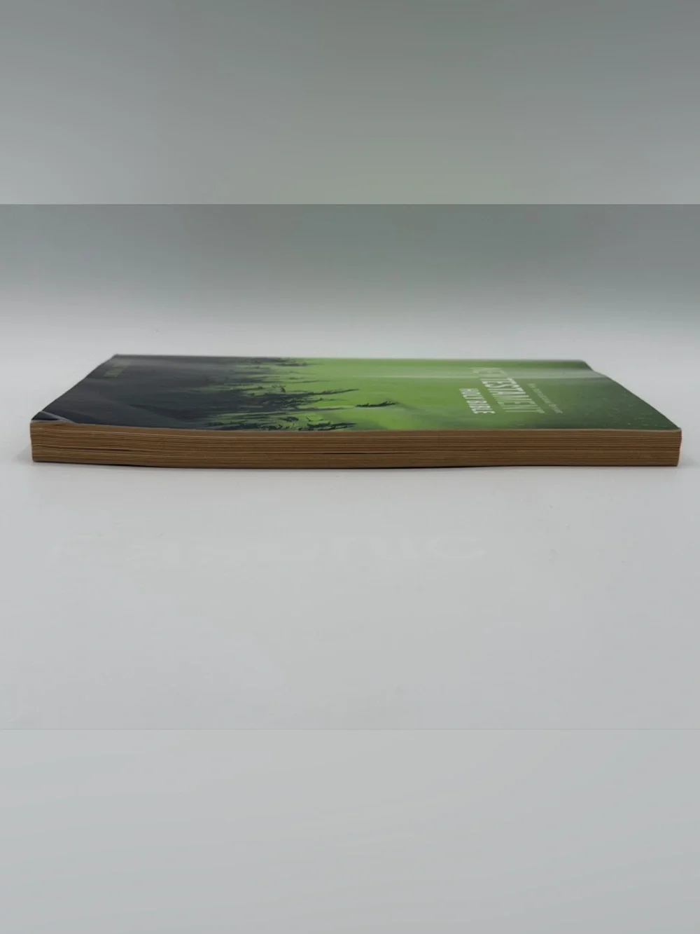 New International Version New Testament Holy Bible Large Print (2011, Paperback)